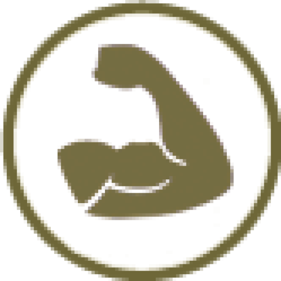 Vše pro posílení svalstva Vše pro posílení svalstva