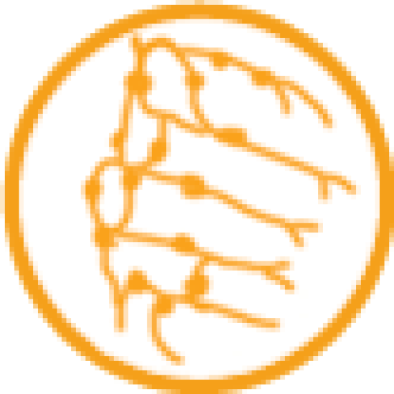 Rozprouděte lymfu Rozprouděte lymfu