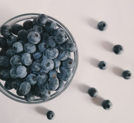 Borůvky: Superpotravina pro lepší zdraví Superpotraviny jako bohatý zdroj živin