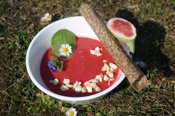 Krok za krokem k zdravějšímu životnímu stylu Jak přejít na syrovou stravu snadno a bezpečně