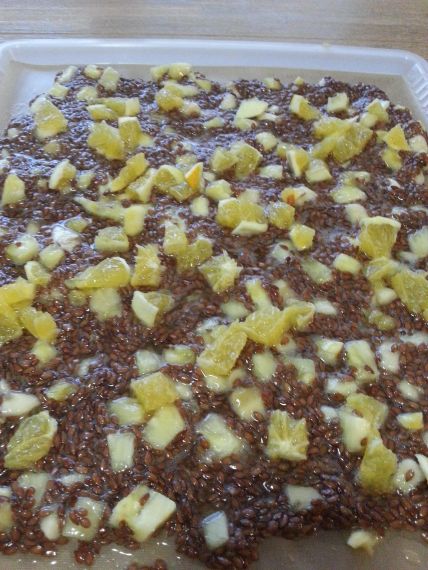 Pomerančové krekry ze sušičky Yden Recept na domácí pomerančové krekry