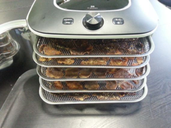 Sušička potravin Yden pro výrobu domácích jerků Domácí jerky ze sušičky potravin Yden